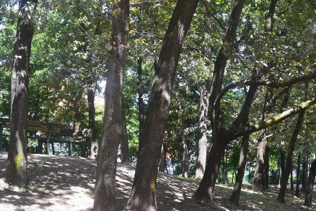 דירות בולוניה Casa Lory חדר תמונה